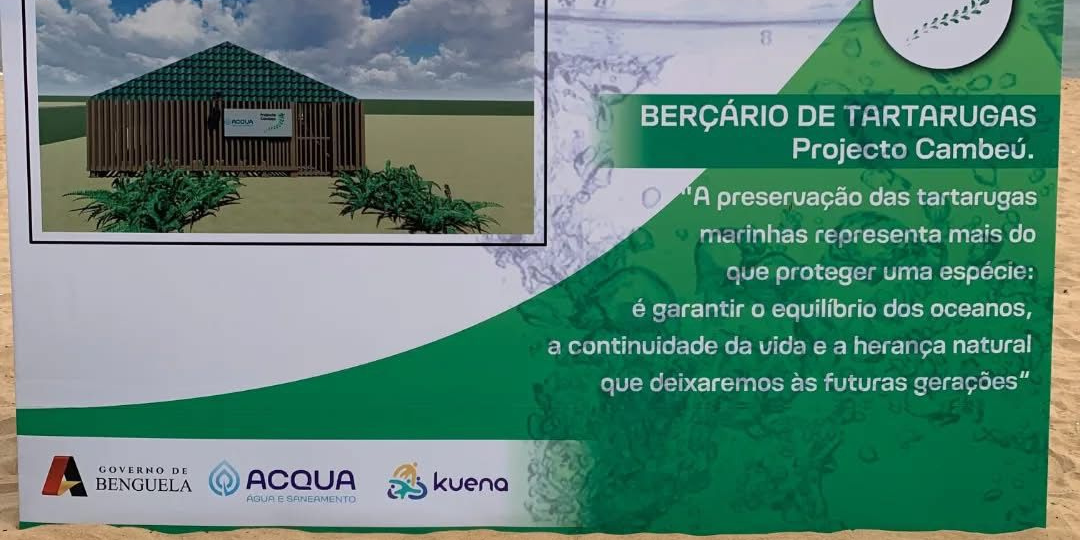 Posts 17 de Setembro (11)